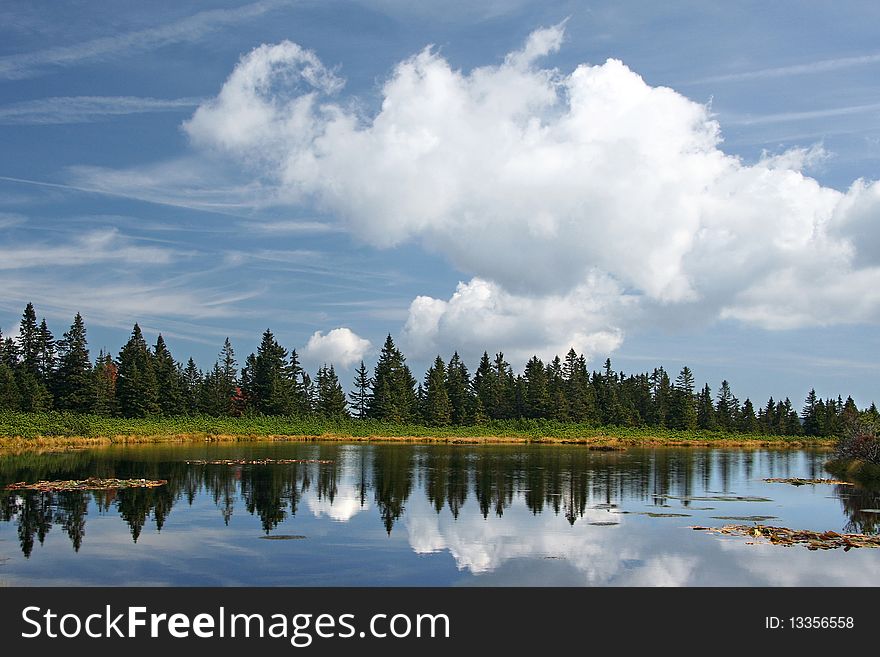 Sky any forest reflection in a lake. Photographed on 1000m on Pohorje mountains in Slovenia