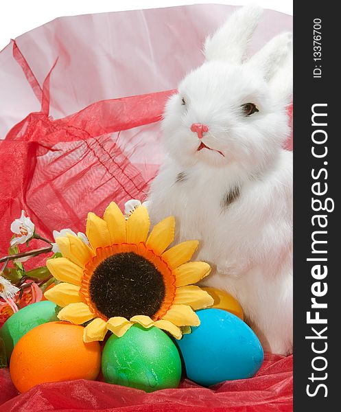 Cute little rabbit in basket with flowers