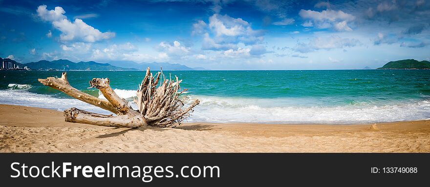 Scenic view of Nha Trang beach at sunny day. Beautiful tropical landscape. Snag on the foreground. Panorama. Scenic view of Nha Trang beach at sunny day. Beautiful tropical landscape. Snag on the foreground. Panorama