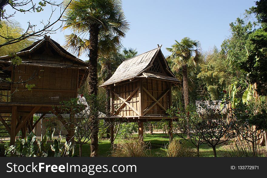 Hut, Cottage, Tree, Outdoor Structure