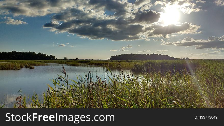 Sky, Wetland, Water, Reflection