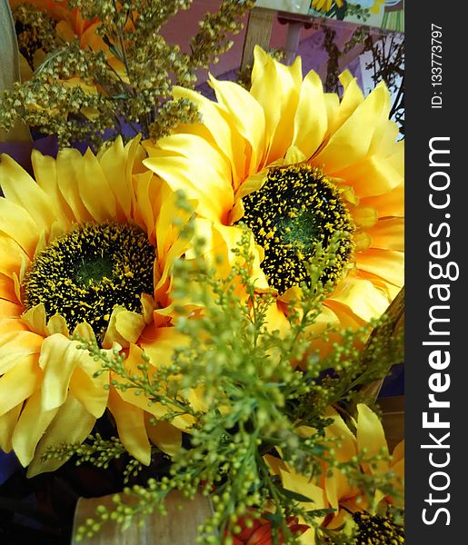Flower, Yellow, Sunflower, Floristry