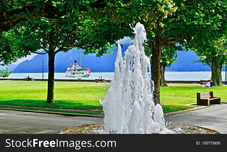 Water, Fountain, Water Feature, Tree