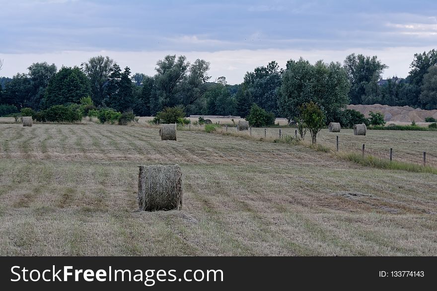 Property, Pasture, Field, Land Lot