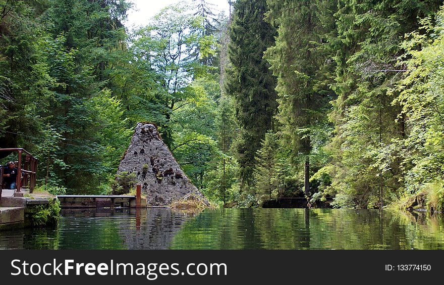 Waterway, Nature, Water, Nature Reserve