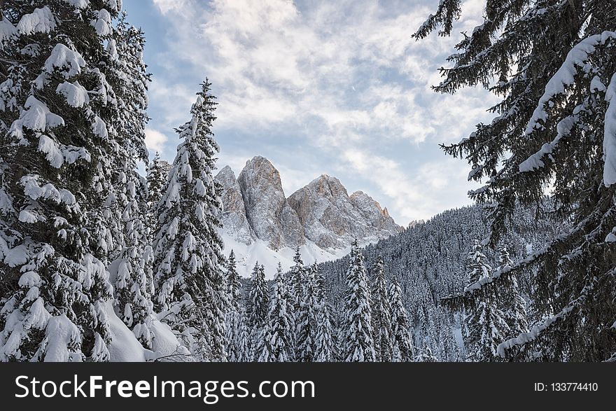 Winter, Snow, Mountainous Landforms, Tree