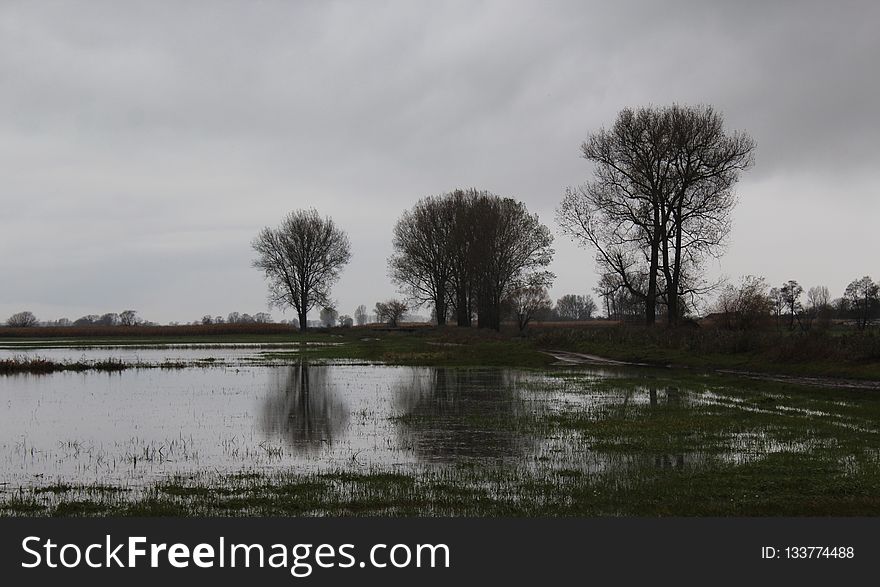 Reflection, Water, Tree, Sky