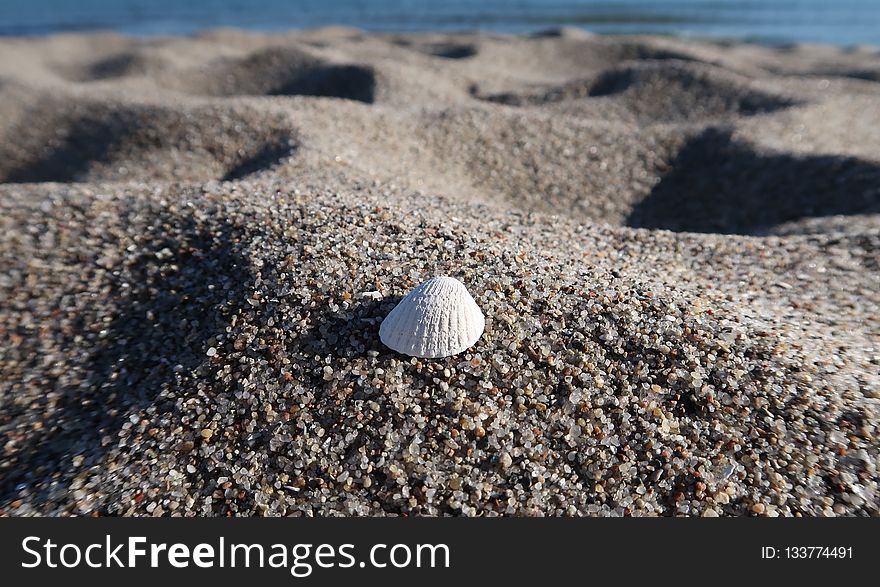 Sand, Rock, Seashell, Material
