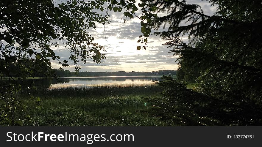 Nature, Water, Tree, Sky