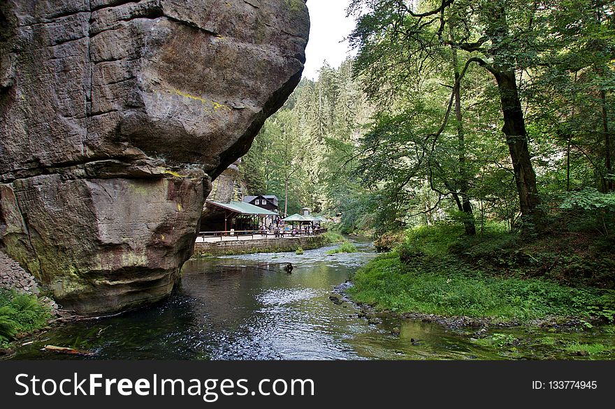 Nature, Water, Body Of Water, Nature Reserve