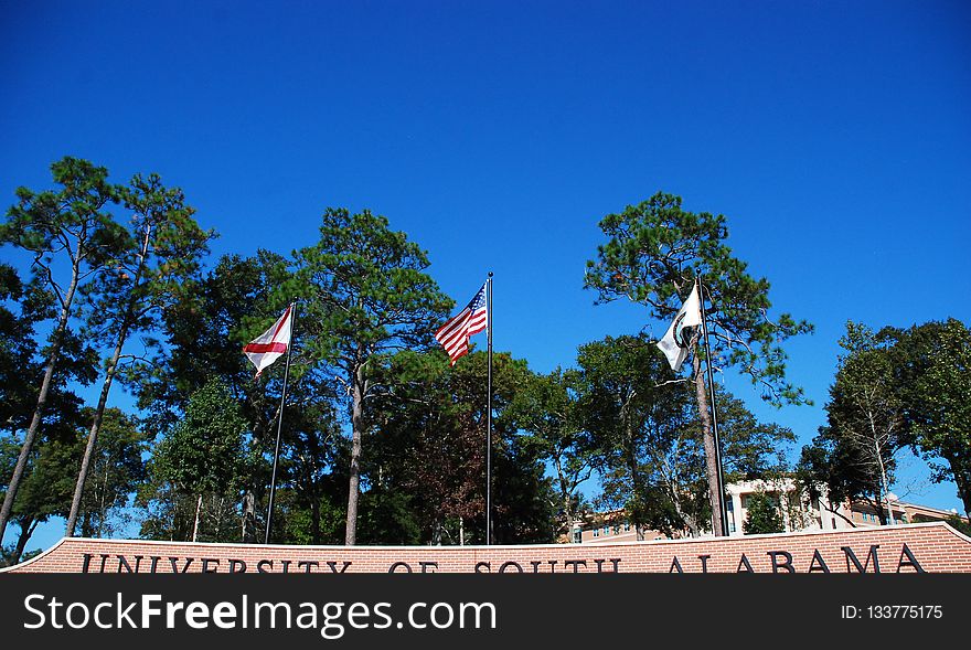 Sky, Tree, Tourism, Daytime