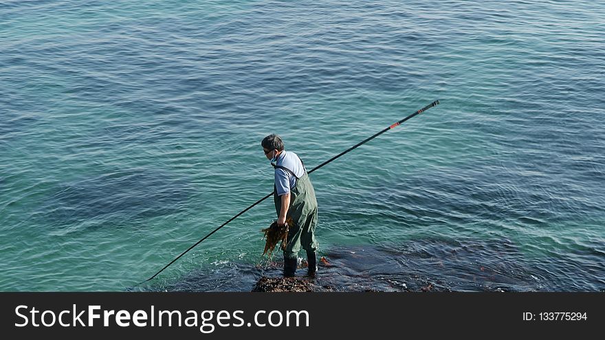 Sea, Water, Recreational Fishing, Fisherman