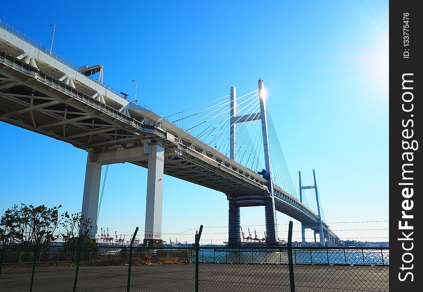 Bridge, Fixed Link, Extradosed Bridge, Suspension Bridge