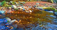 Autumn Forest Stream Royalty Free Stock Images