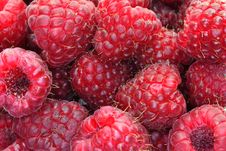 Raspberries Royalty Free Stock Image
