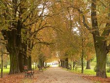 Park Lane In Autumn Royalty Free Stock Photography Park Lane In Autumn Royalty Free Stock Photography