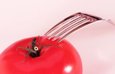 Tomato And Fork Stock Image