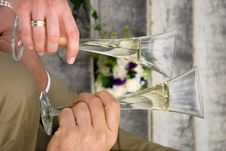 Drinking Champagne Royalty Free Stock Image Drinking Champagne Royalty Free Stock Image