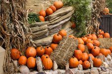 Pumpkins On The Rocks Royalty Free Stock Photography Pumpkins On The Rocks Royalty Free Stock Photography