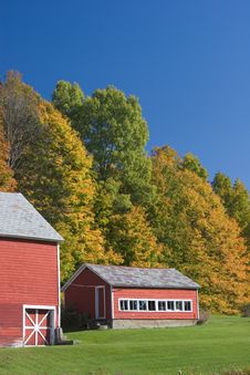 Red Barns In Autumn Stock Photo