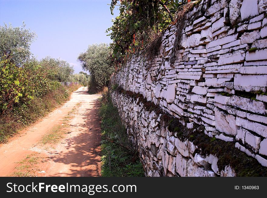 Path in olive trees