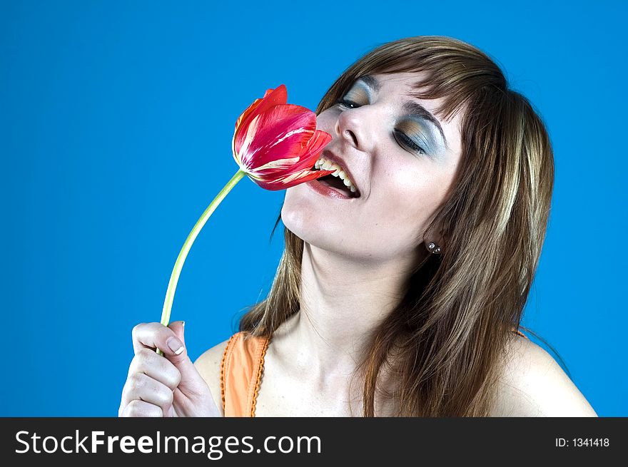 Portrait of a young girl smiling and smelling a red tulip, expression of youth and happiness; posing in a studio; nice make-up, isolated on blue background. Portrait of a young girl smiling and smelling a red tulip, expression of youth and happiness; posing in a studio; nice make-up, isolated on blue background