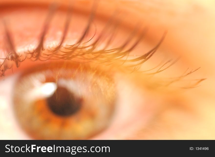 Close-up of a woman eye