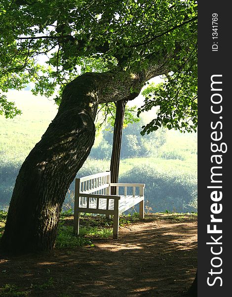 The bench of Onegin in manor Trigorskoe. The bench of Onegin in manor Trigorskoe.