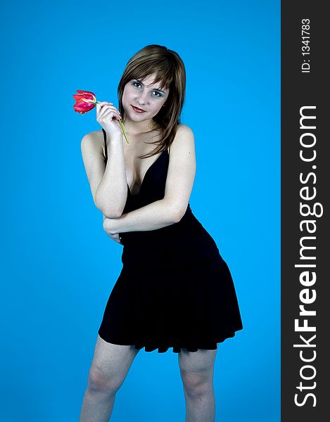 Young girl wearing a black dress smiling with a red tulip in her hand; posing in a studio; isolated on blue background. Young girl wearing a black dress smiling with a red tulip in her hand; posing in a studio; isolated on blue background.