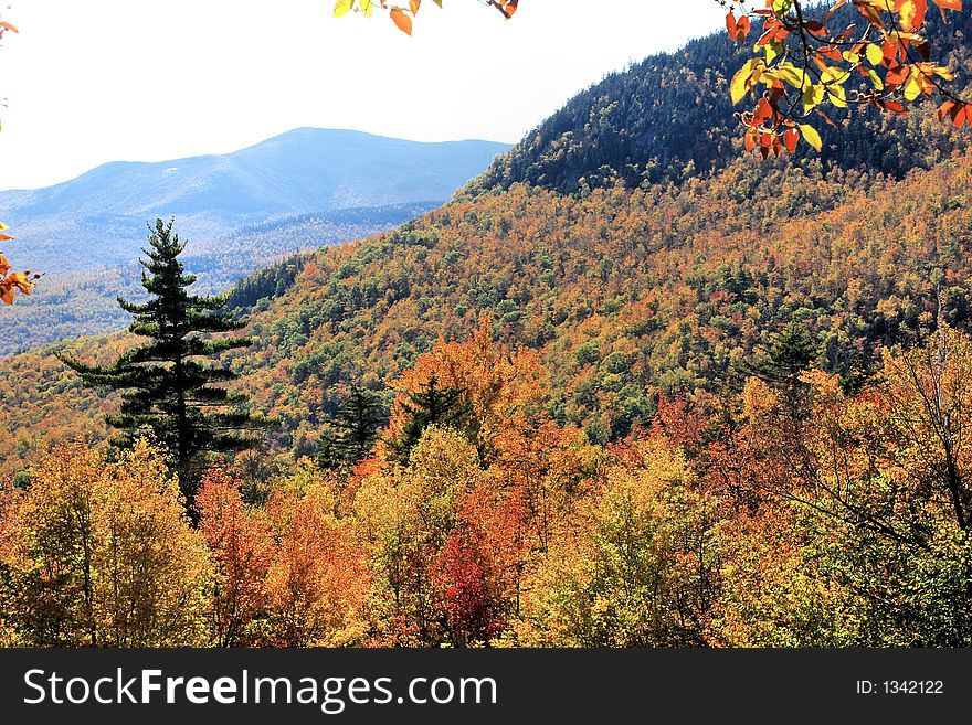 Mountain top of fall colors