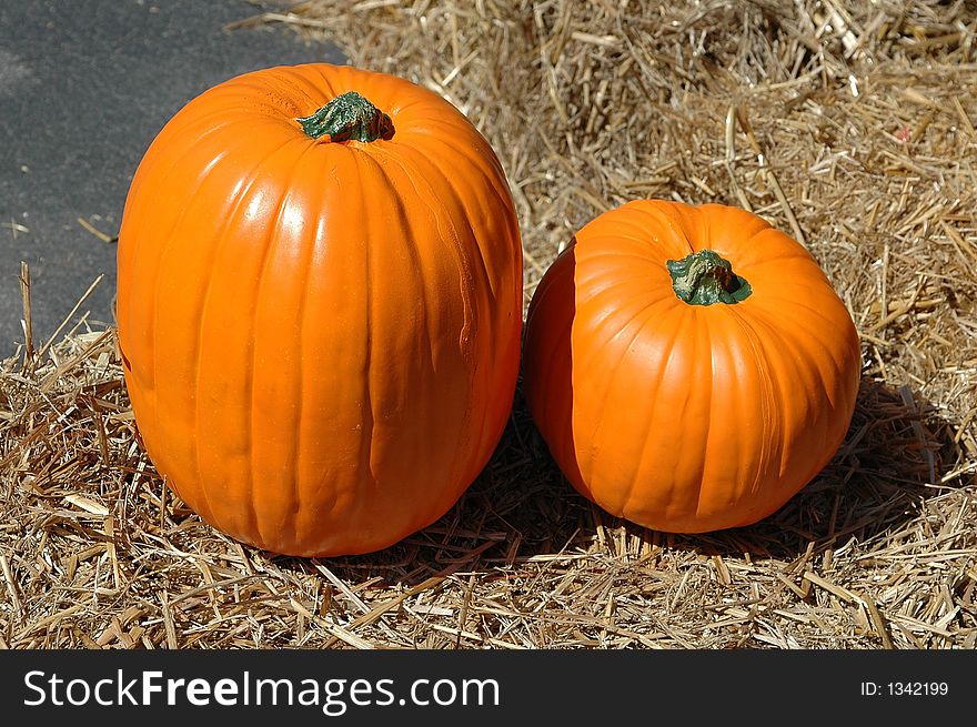 Photographed pumpkin patch at farm in Georgia.