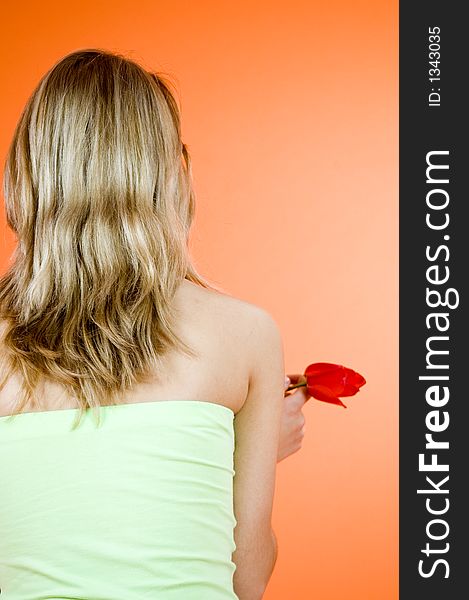 Young blond holding a red tulip in her hand, expression of youth and senses, orange background. Young blond holding a red tulip in her hand, expression of youth and senses, orange background