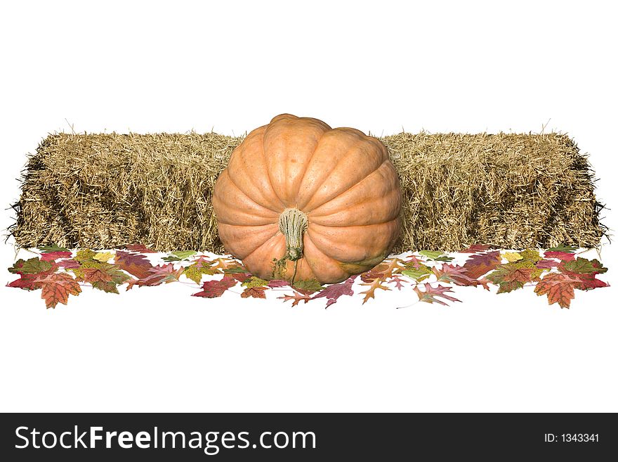 Harvest decorations on a white background. Harvest decorations on a white background