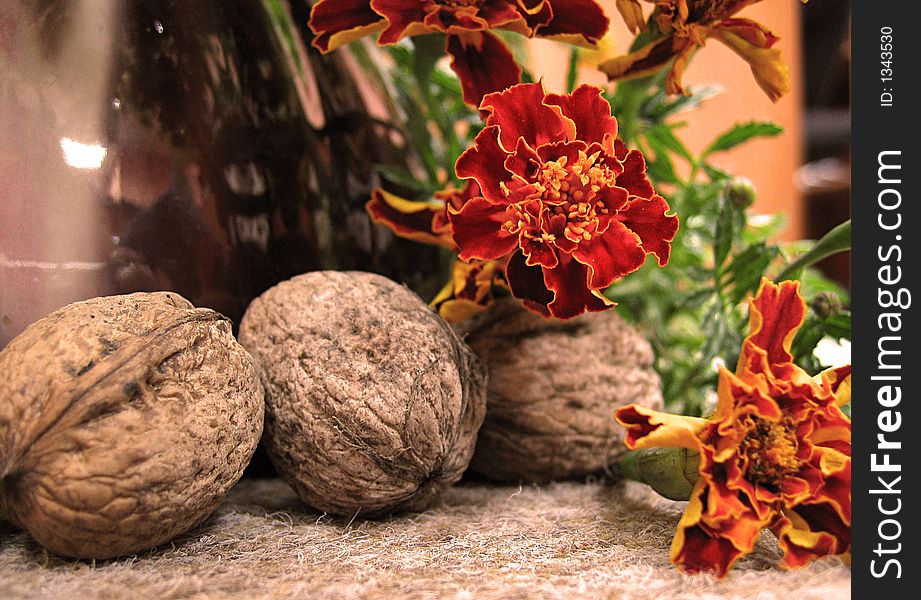 Autumnal atmosphere: nuts and autumnal flowers