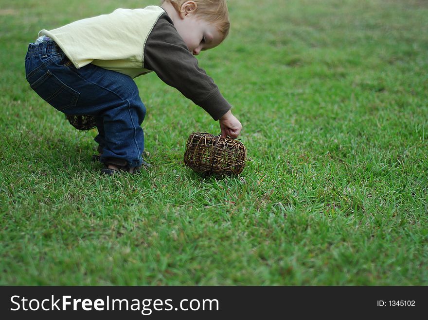 A young toddler picking a Pumpkin
