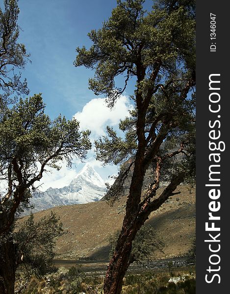 Cordilleras Mountain In Peru