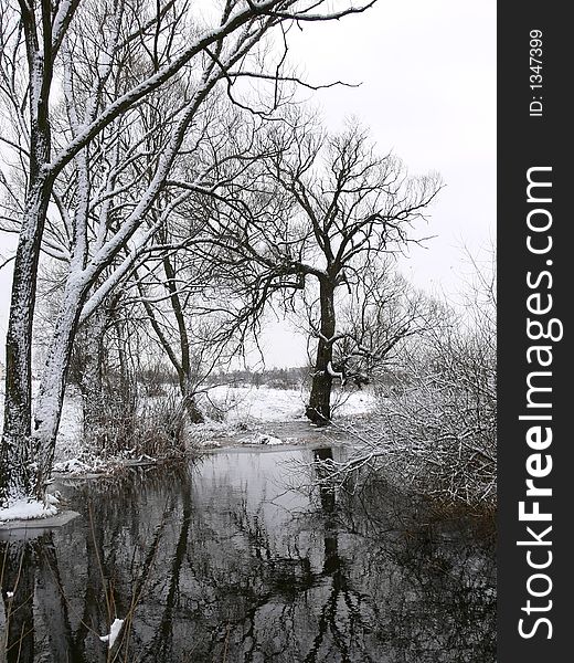 Trees covered with snow over a river. Trees covered with snow over a river