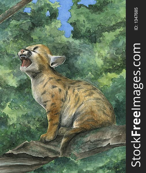 A crying little mountain lion - Artwork made with watercolour. A crying little mountain lion - Artwork made with watercolour