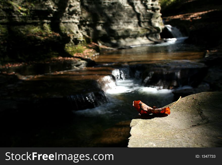 One lfallen leaf on edge of waterfall