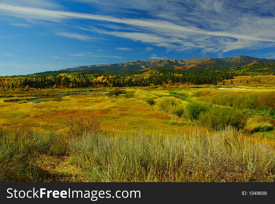 Fall Colors In The High Country