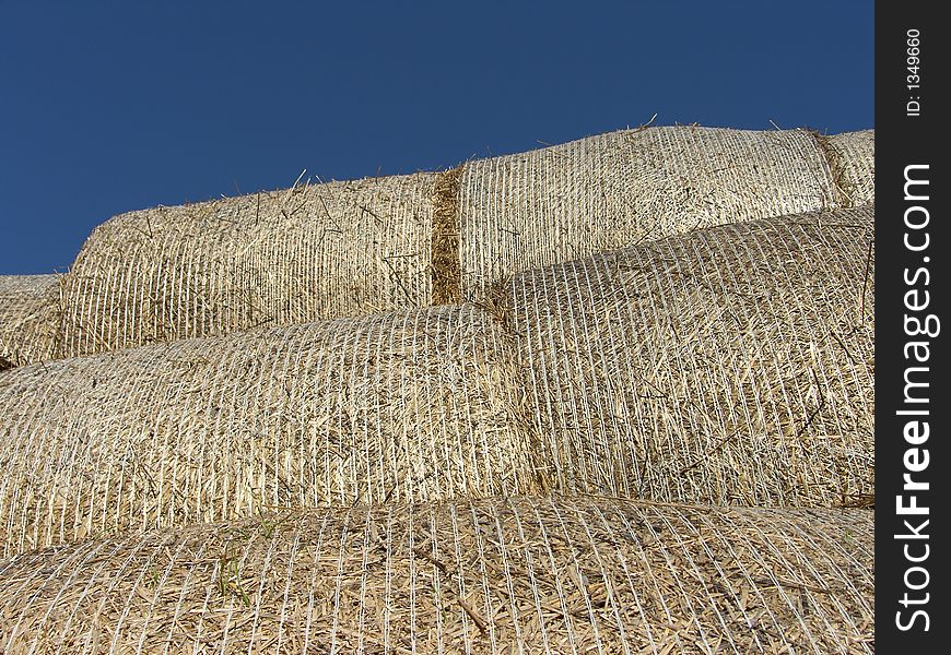 Straw harvest and the blue sky. Straw harvest and the blue sky