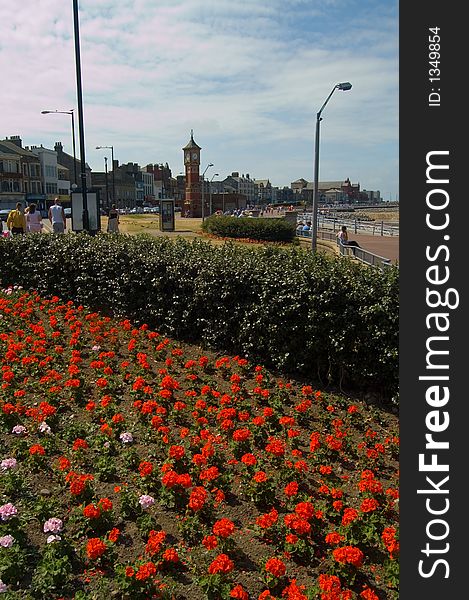 Flowers and clock tower at morecombe,
morecombe,
lancashire,
united kingdom.