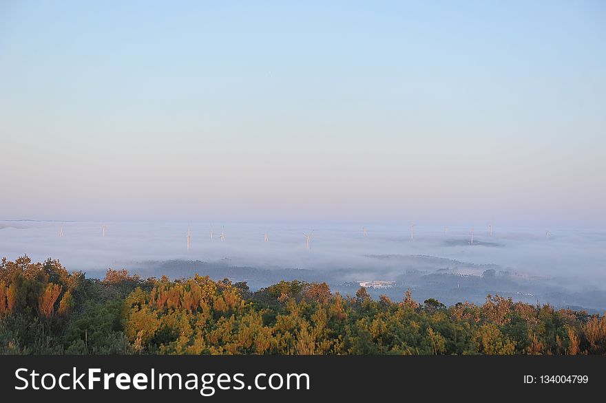 Sky, Horizon, Morning, Tree