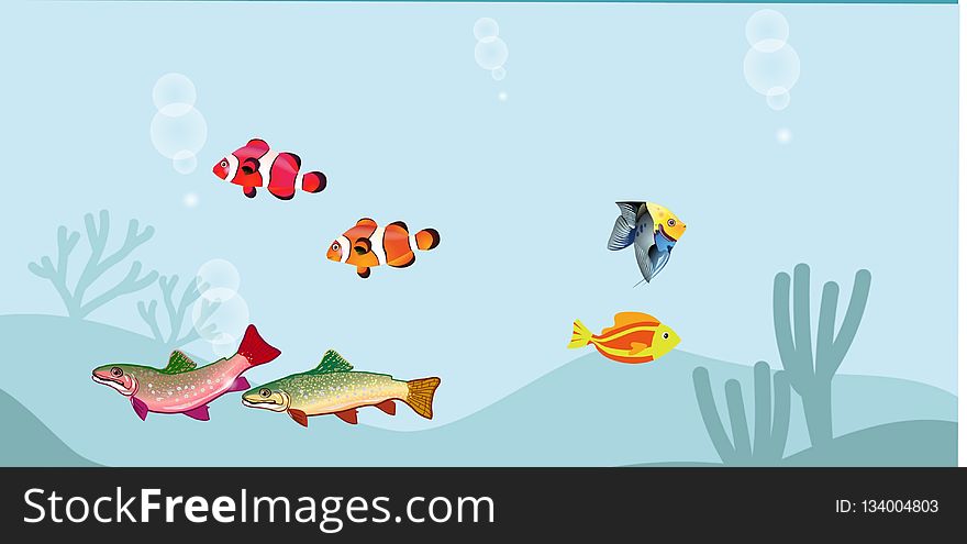 Fish, Leaf, Organism, Illustration