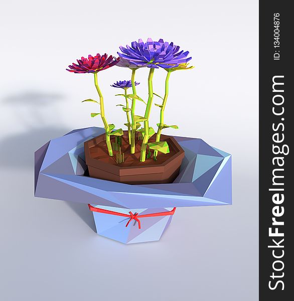 Flower, Flowerpot, Vase, Plant