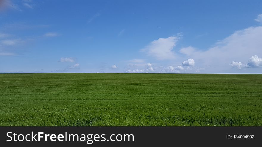 Grassland, Sky, Field, Ecosystem