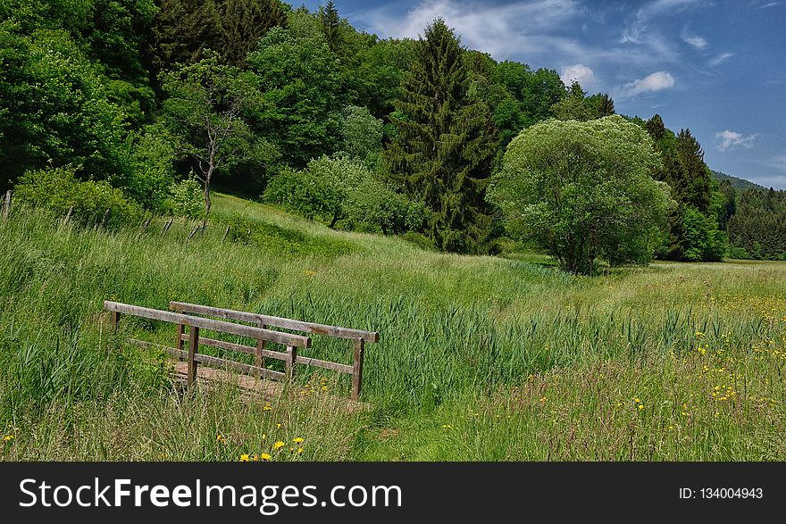 Grassland, Vegetation, Nature, Nature Reserve