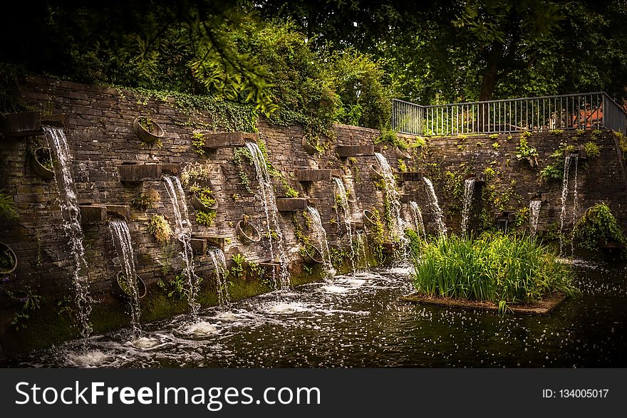 Nature, Water, Vegetation, Grass