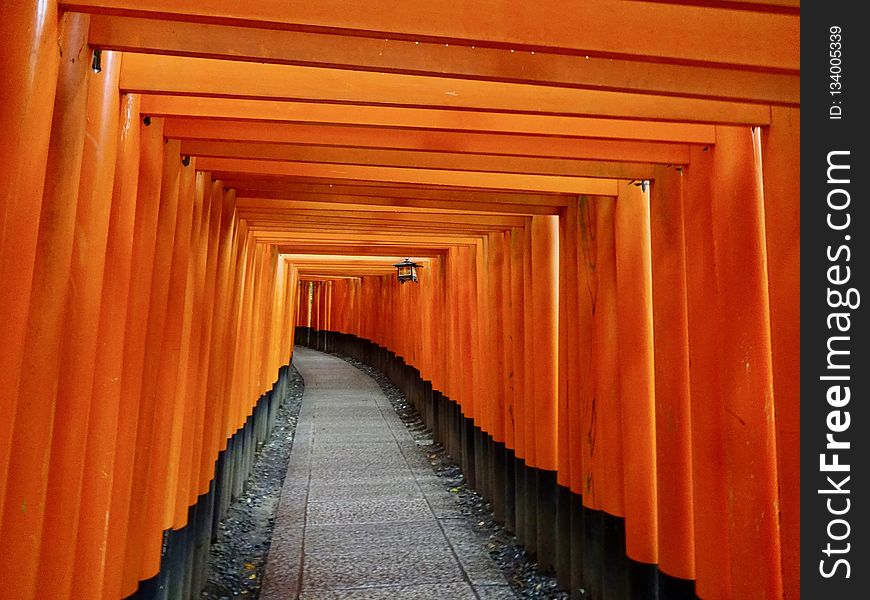 Orange, Torii, Wood, Line