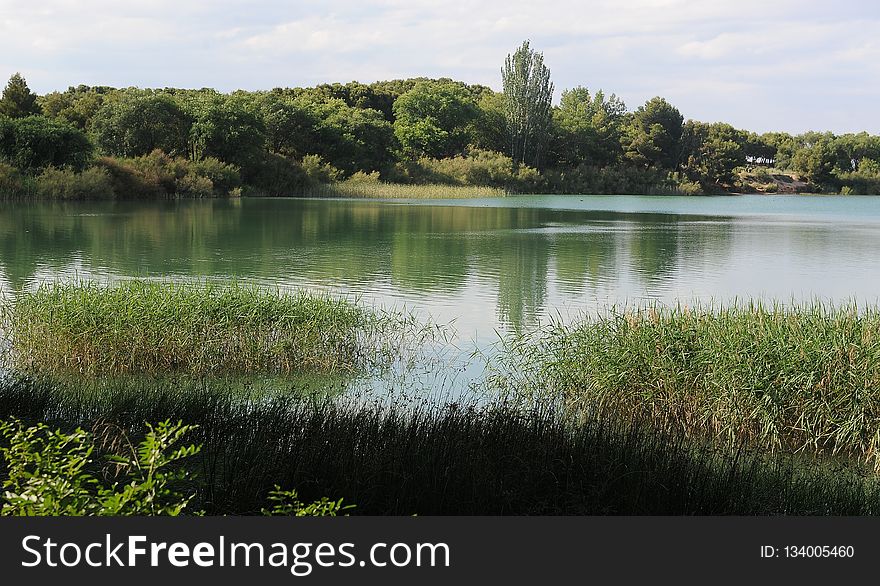 Water, Body Of Water, Nature Reserve, Lake